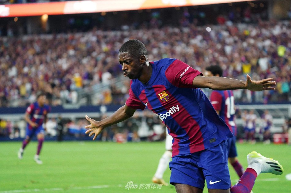 质和灵活的 质和灵活的